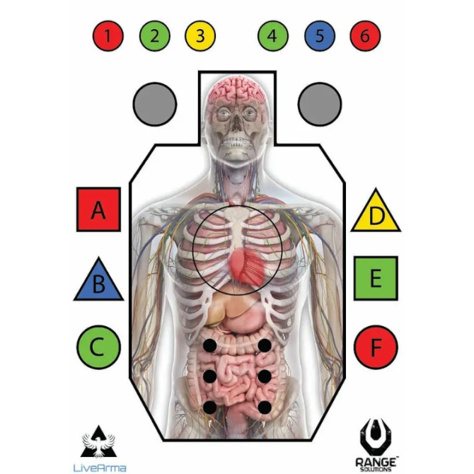 Tarcze Strzeleckie Live Arma Range Solutions - 50 szt