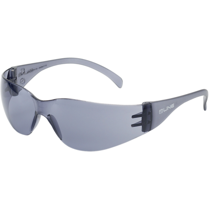 Okulary Ochronne Bolle BL10 - Smoke Lens (BANPSF)